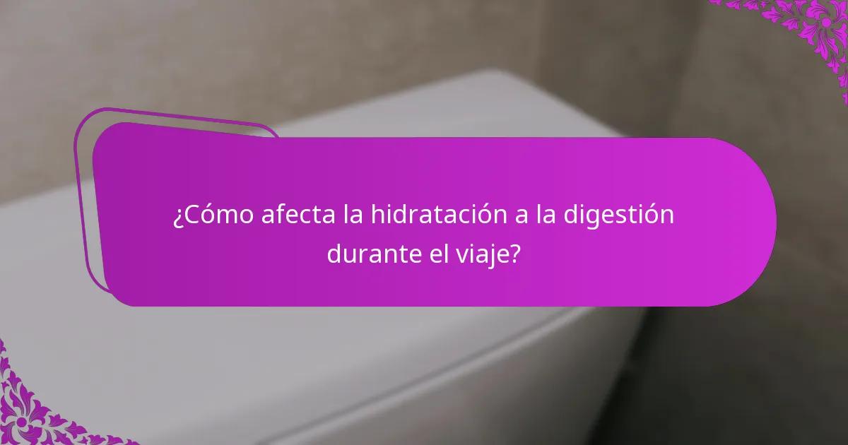 ¿Cuáles son las estrategias de hidratación efectivas para los viajeros?