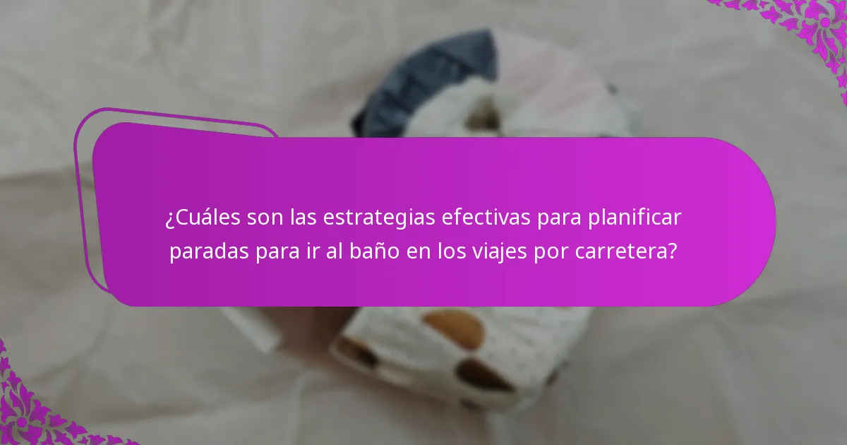 ¿Cuáles son las mejores ubicaciones para paradas para ir al baño en los viajes por carretera?